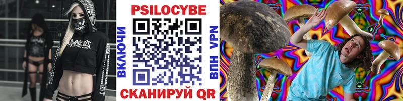 Псилоцибиновые грибы Psilocybe  Луза 